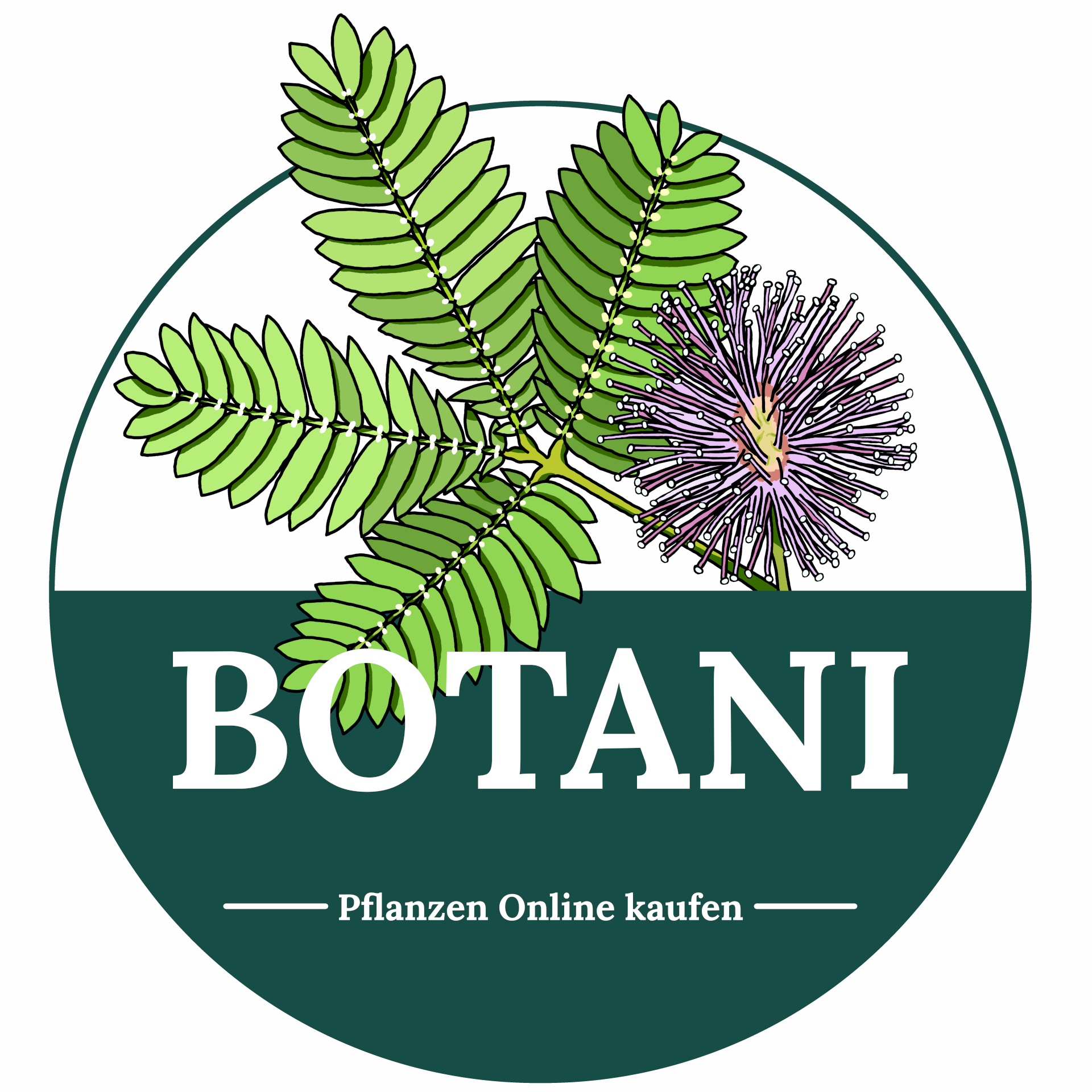 Botani